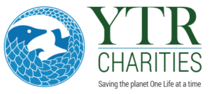 YTR Charities logo
